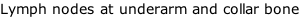 Lymph nodes at underarm and collar bone